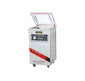 Vacuum Sealer DZ500