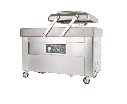 Vacuum Sealer DZ500 Dual Chamber